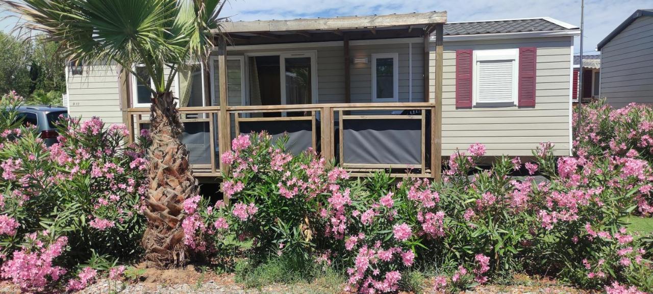 Mobil Home Palmiers 1 Valras-Plage Dış mekan fotoğraf